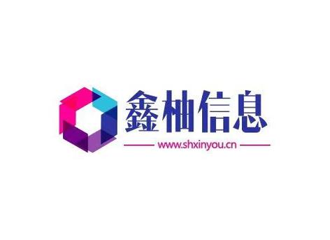 网络与信息科技领域 技术开发、转让、咨询、服务及软件信息技术咨询的实践指南